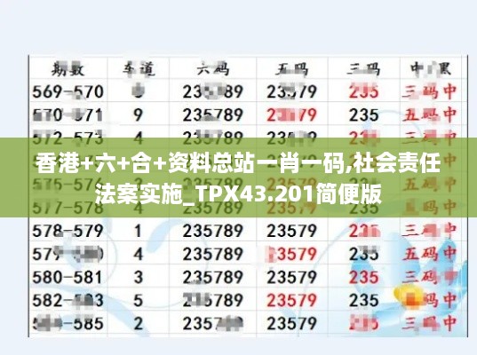 香港+六+合+資料總站一肖一碼,社會責(zé)任法案實施_TPX43.201簡便版