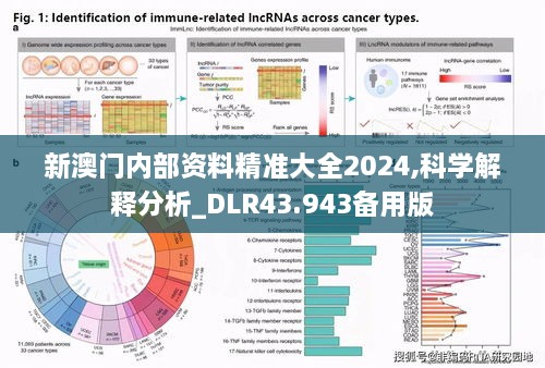 新澳門內(nèi)部資料精準(zhǔn)大全2024,科學(xué)解釋分析_DLR43.943備用版