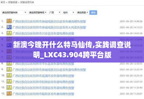 新澳今晚開什么特馬仙傳,實(shí)踐調(diào)查說明_LXC43.904跨平臺版