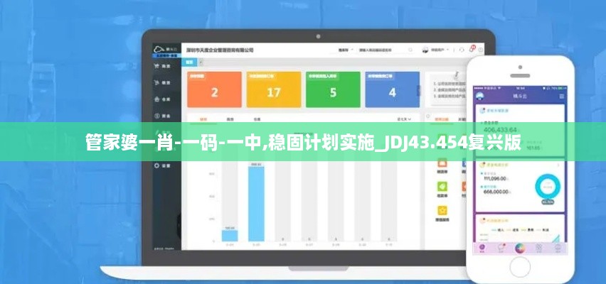 管家婆一肖-一碼-一中,穩(wěn)固計劃實(shí)施_JDJ43.454復(fù)興版