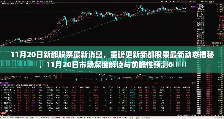 11月20日新都股票最新動態(tài)與市場深度解讀，前瞻性預(yù)測揭秘??