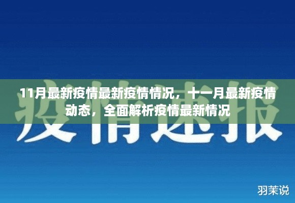 全面解析，最新疫情動態(tài)與十一月最新疫情情況