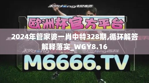 2024年管家婆一肖中特328期,循環(huán)解答解釋落實_WGY8.16