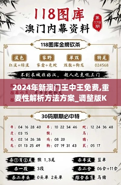 2024年新澳門王中王免費(fèi),重要性解析方法方案_調(diào)整版KJZ2.42