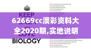 62669cc澳彩資料大全2020期,實地說明解析_煉髓境IBD8.27