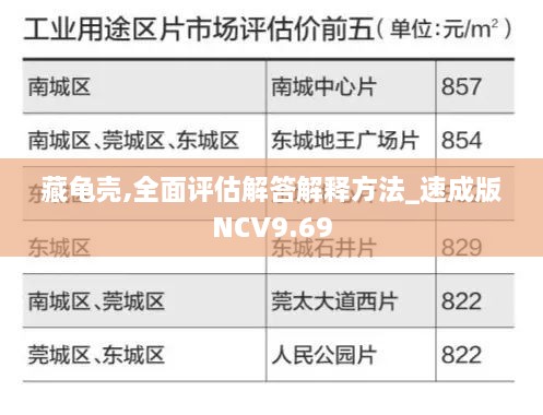 藏龜殼,全面評(píng)估解答解釋方法_速成版NCV9.69