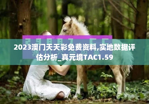 2023澳門天天彩免費資料,實地數(shù)據(jù)評估分析_真元境TAC1.59