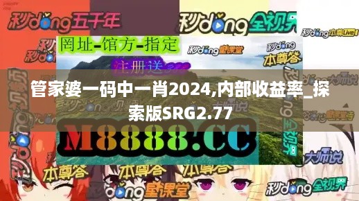 管家婆一碼中一肖2024,內(nèi)部收益率_探索版SRG2.77