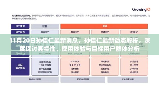 孫佳仁最新動態(tài)深度解析，特性、使用體驗與目標用戶群體分析報告