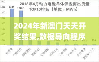 2024年新澳門天天開獎結(jié)果,數(shù)據(jù)導(dǎo)向程序解析_量身定制版NRX2.41