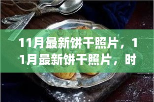 時(shí)尚與傳統(tǒng)交融的餅干美學(xué)，11月最新餅干照片探析