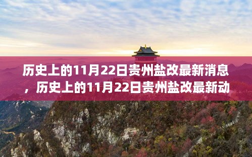 揭秘貴州鹽改最新動態(tài)，歷史上的11月22日最新消息揭秘