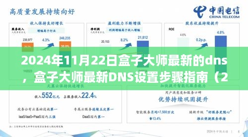 2024年11月22日盒子大師最新的dns，盒子大師最新DNS設(shè)置步驟指南（2024年11月版）