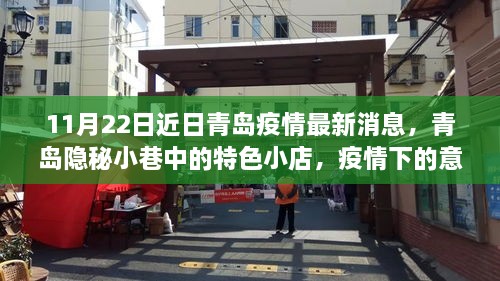 青島隱秘小巷特色小店，疫情下的意外驚喜與最新消息（11月22日更新）