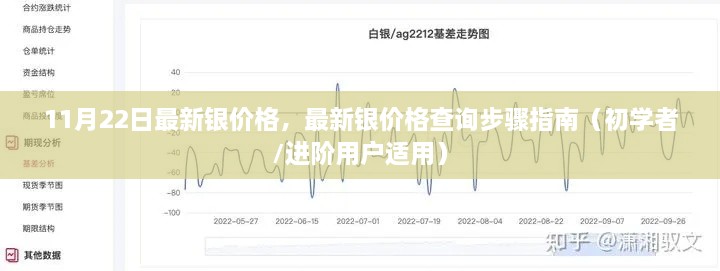 最新銀價(jià)格查詢指南，步驟詳解，適用于初學(xué)者與進(jìn)階用戶（11月22日更新）