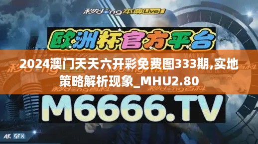 2024澳門天天六開(kāi)彩免費(fèi)圖333期,實(shí)地策略解析現(xiàn)象_MHU2.80