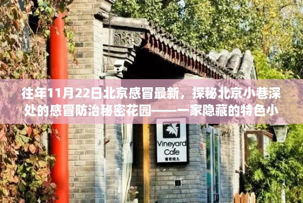 探秘北京小巷深處的特色小店，感冒防治秘密花園