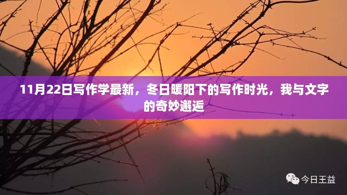 冬日暖陽(yáng)下的寫作時(shí)光，與文字的奇妙逅遇新解讀