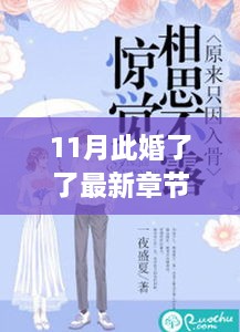 11月此婚了了最新章節(jié)，婚緣十一月，溫馨日常與愛(ài)的紐帶