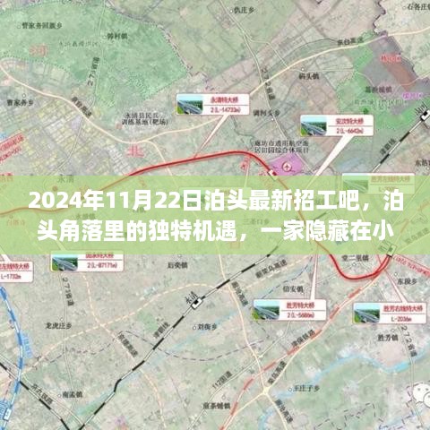 2024年11月22日泊頭最新招工吧，泊頭角落里的獨特機遇，一家隱藏在小巷中的特色小店招工記