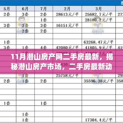 揭秘潛山房產市場，最新二手房動態(tài)深度解讀（11月版）