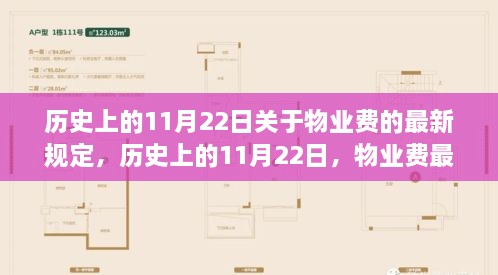 歷史上的11月22日物業(yè)費新規(guī)誕生及其影響概述