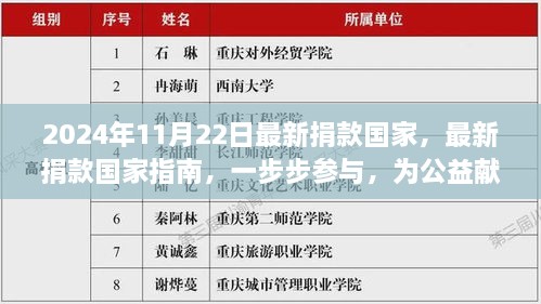 2024年11月最新版捐款指南，如何一步步參與公益貢獻力量