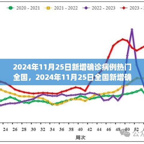 2024年11月25日全國(guó)疫情動(dòng)態(tài)，最新確診病例指南與理解疫情走勢(shì)的方法