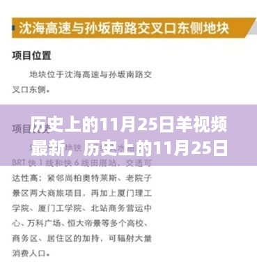 歷史上的11月25日，羊視頻現(xiàn)象背后的故事與影響揭秘