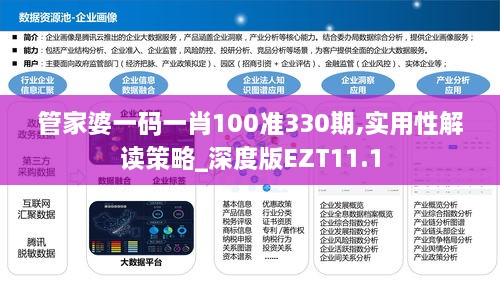 管家婆一碼一肖100準(zhǔn)330期,實(shí)用性解讀策略_深度版EZT11.1