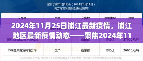 2024年11月25日浦江地區(qū)疫情動態(tài)，防控進(jìn)展與科普解讀