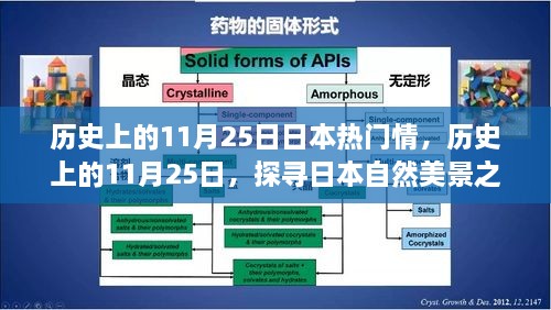 探尋日本自然美景之旅，歷史上的11月25日與日本情感之旅的寧靜與平和