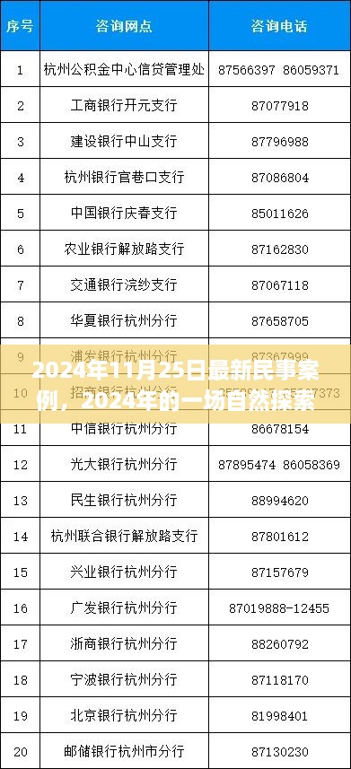 民事案例背后的心靈之旅，自然探索之旅的啟示（2024年最新案例）