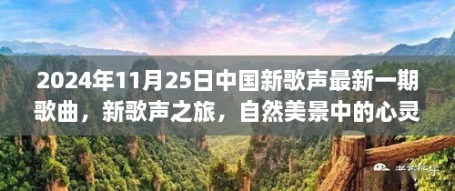 心靈和弦的共鳴，2024年11月25日中國(guó)新歌聲之旅的自然美景啟示