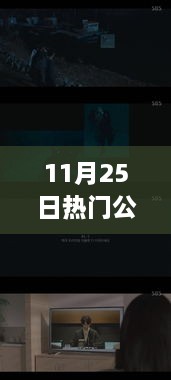 11月25日熱門公開視頻在線觀看，全面評測與介紹