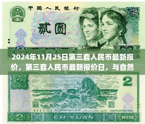 第三套人民幣最新報價與邂逅自然美景之旅，2024年11月25日行情概覽