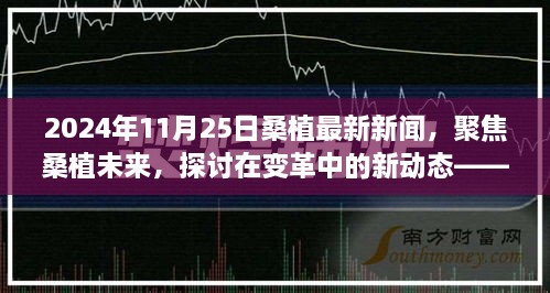 變革中的新動態(tài)，聚焦桑植未來——2024年11月25日桑植最新新聞視角