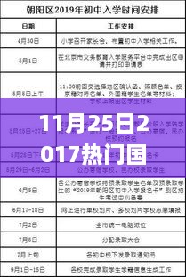 2017年熱門國稅政策詳解與操作指南，適合初學(xué)者與進(jìn)階用戶的學(xué)習(xí)指南（11月25日更新）