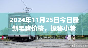 毛豬價(jià)格揭秘與小巷特色小店的幕后故事，2024年最新資訊，今日探秘之旅