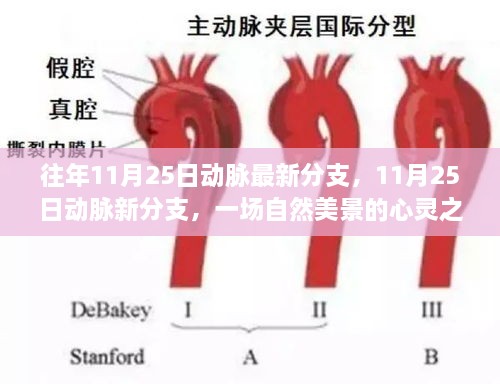 往年11月25日動(dòng)脈最新分支，11月25日動(dòng)脈新分支，一場(chǎng)自然美景的心靈之旅