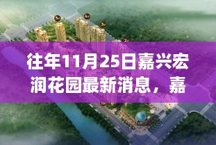 嘉興宏潤花園最新消息解讀，深度剖析三大要點回顧往年11月25日動態(tài)