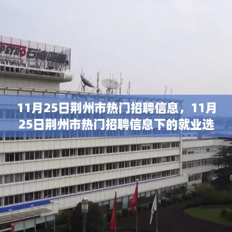 11月25日荊州市熱門招聘信息，11月25日荊州市熱門招聘信息下的就業(yè)選擇，機(jī)遇與挑戰(zhàn)并存