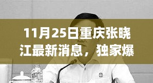 重慶張曉江最新動態(tài)揭秘，11月25日獨(dú)家爆料，瞬間驚艷！