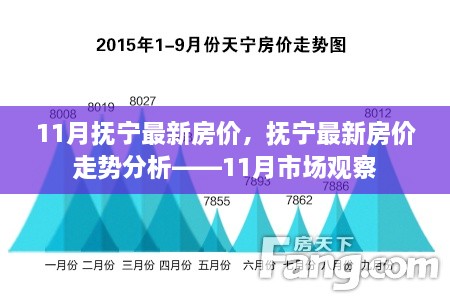 撫寧最新房價動態(tài)及走勢分析，11月市場觀察報告