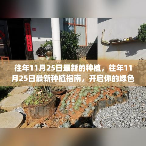 往年11月25日最新的種植，往年11月25日最新種植指南，開啟你的綠色生活之旅