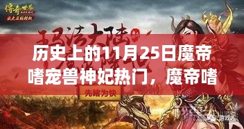 魔帝嗜寵獸神妃，深度測評與介紹——?dú)v史上的11月25日熱門話題