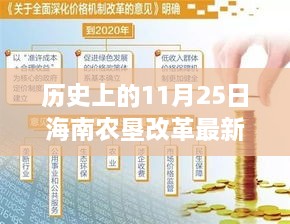 海南農(nóng)墾改革新篇章，歷史上的11月25日，變革中的自信與成就感