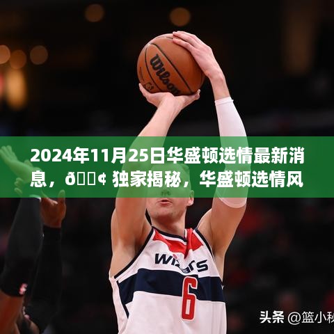 2024年11月25日華盛頓選情最新消息，?? 獨(dú)家揭秘，華盛頓選情風(fēng)云變幻，最新消息一網(wǎng)打盡！?? 2024年11月25日選情深度解析