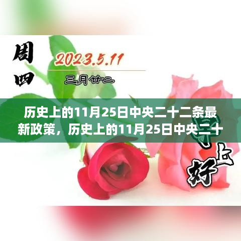 歷史上的11月25日中央二十二條最新政策，歷史上的11月25日中央二十二條最新政策深度解讀