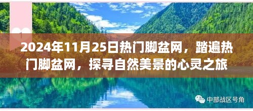 探尋自然美景的心靈之旅，熱門腳盆網(wǎng)之旅（2024年11月25日）